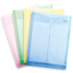Plastic Data Clear  Envelope W Base